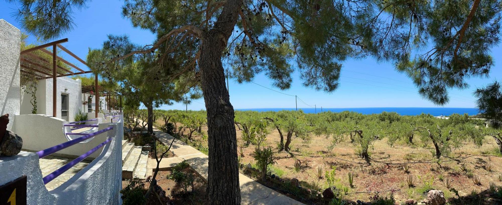 Studios Crete Ferma Exterior foto
